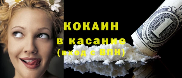 стаф Арсеньев