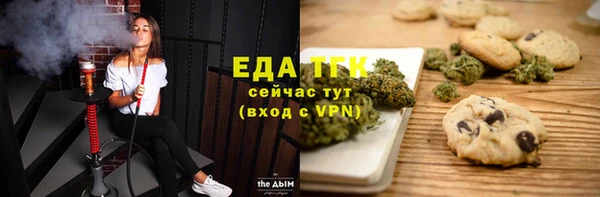 стаф Арсеньев