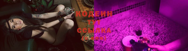 стаф Арсеньев