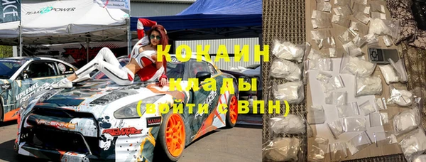 стаф Арсеньев