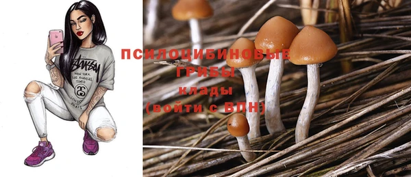 2c-b Балабаново