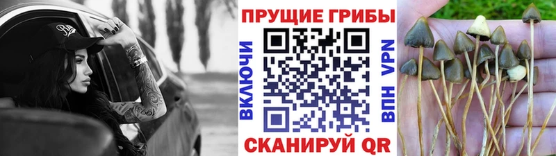 Галлюциногенные грибы мухоморы blacksprut как зайти Безенчук